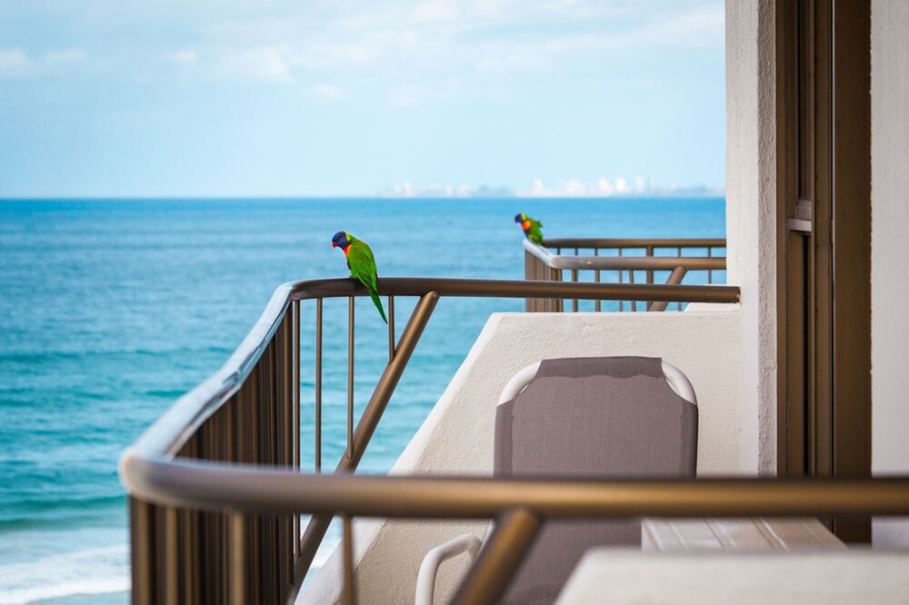Beach/Ocean View