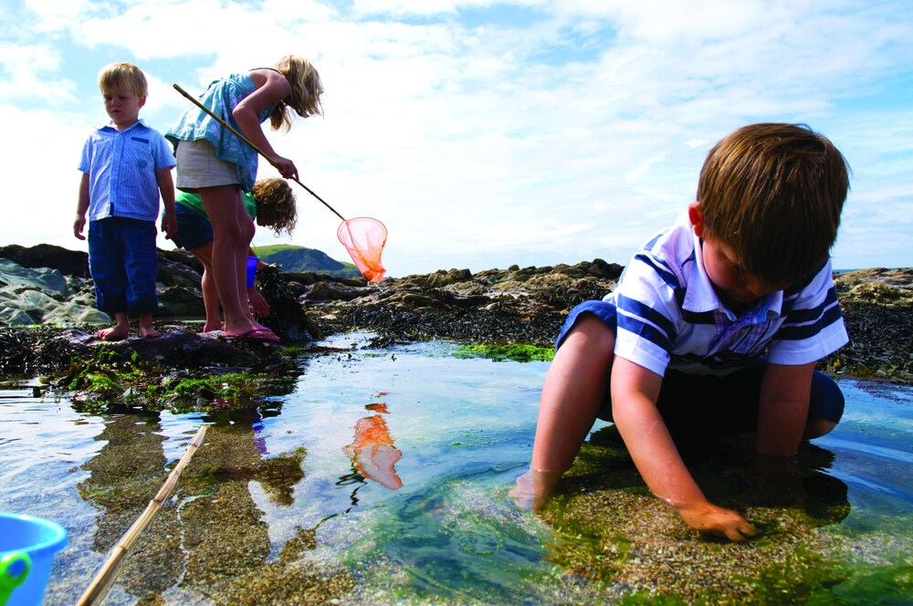 Childrens Activities