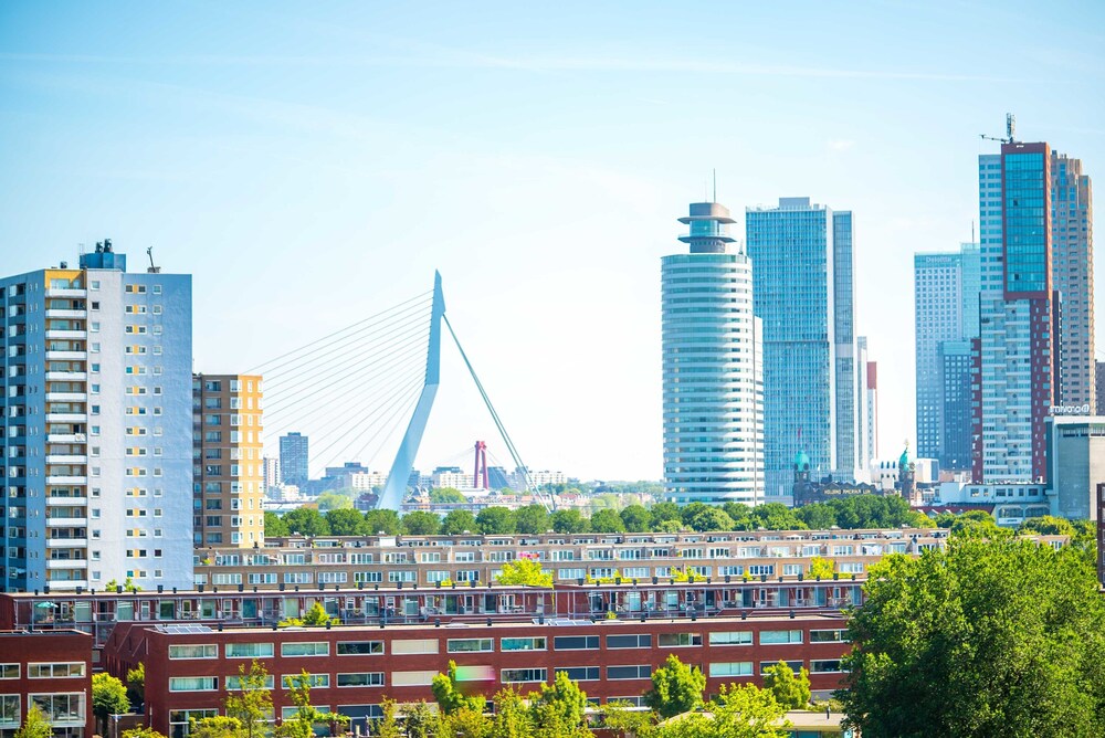 City View