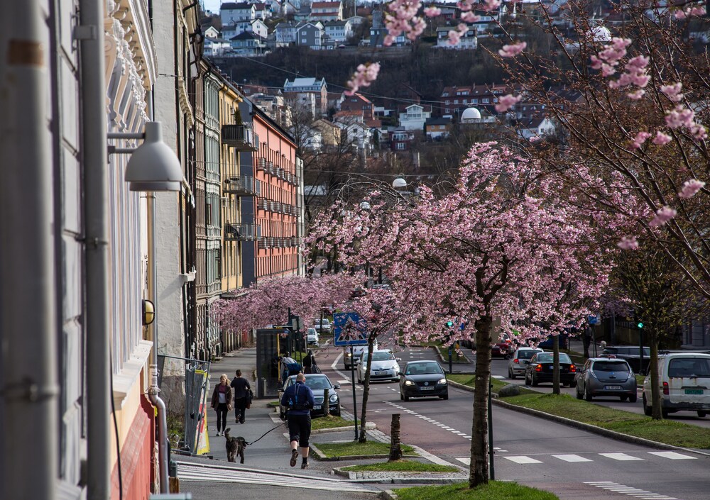 Blick auf die Straße