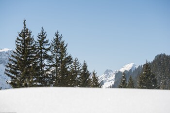 Ski Hill