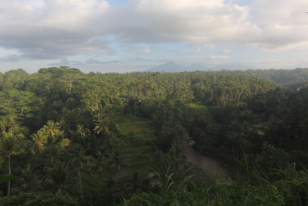 View from Hotel
