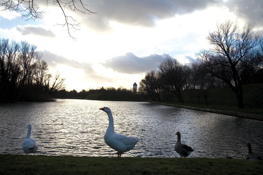 Lake