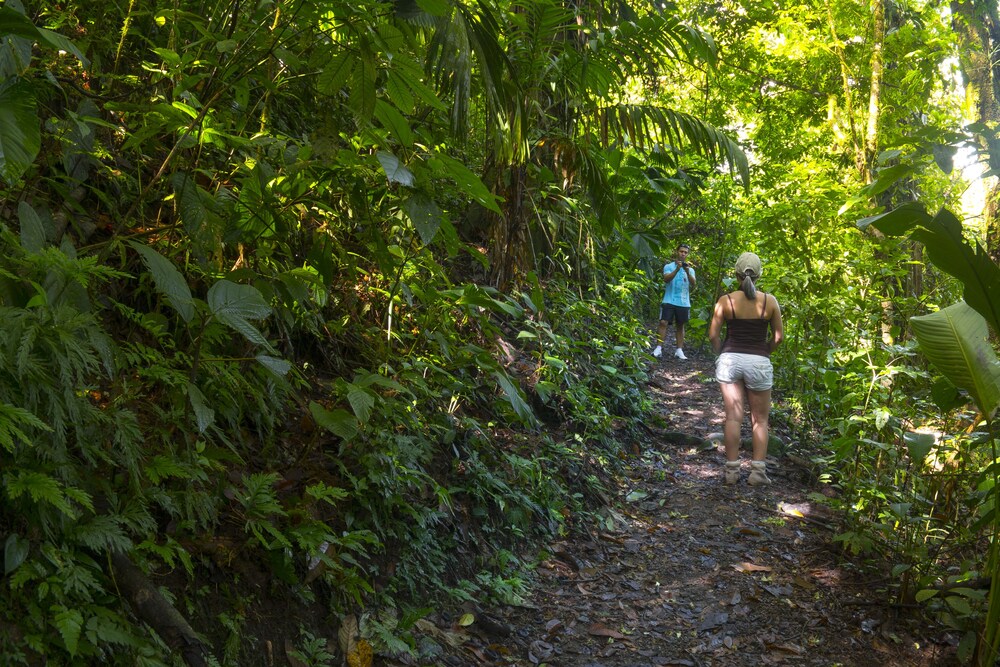 Hiking