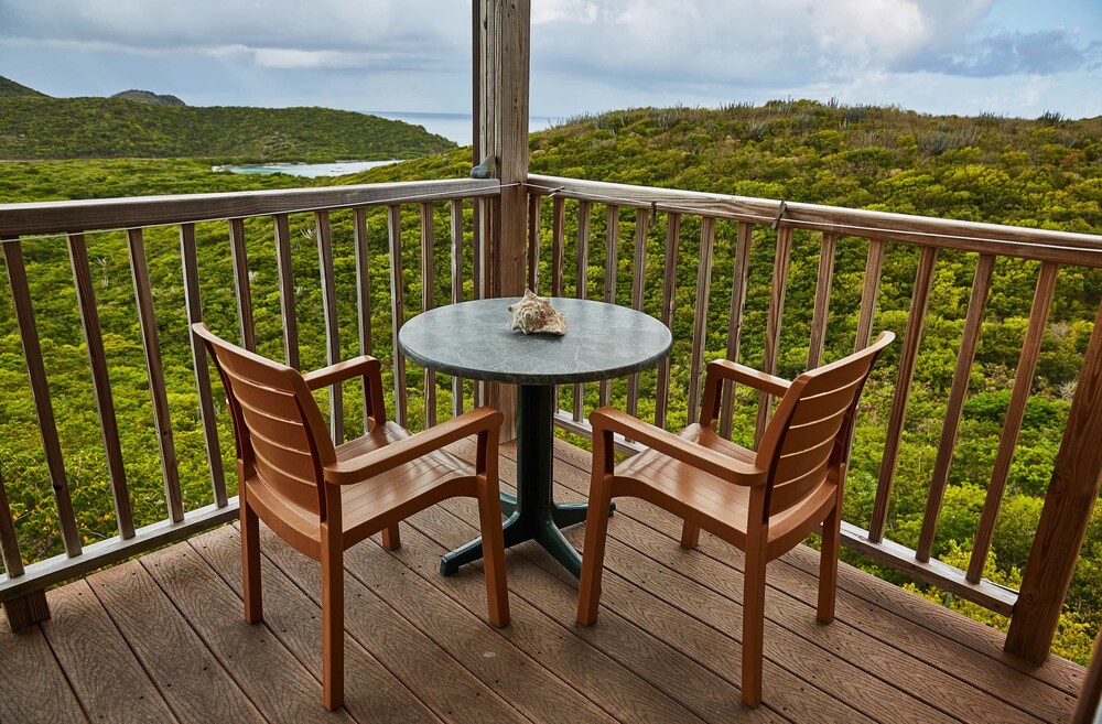Guestroom View