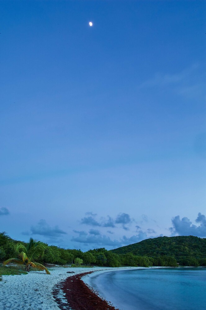 Beach/Ocean View