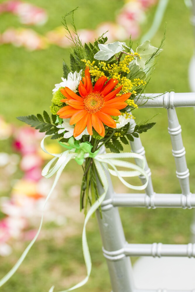 Outdoor Wedding Area