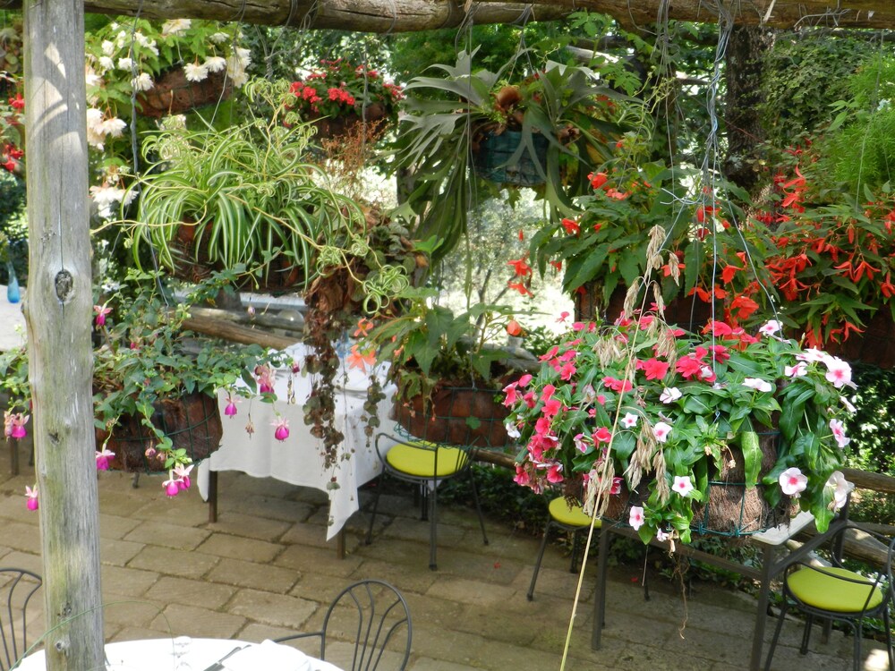 Outdoor Banquet Area