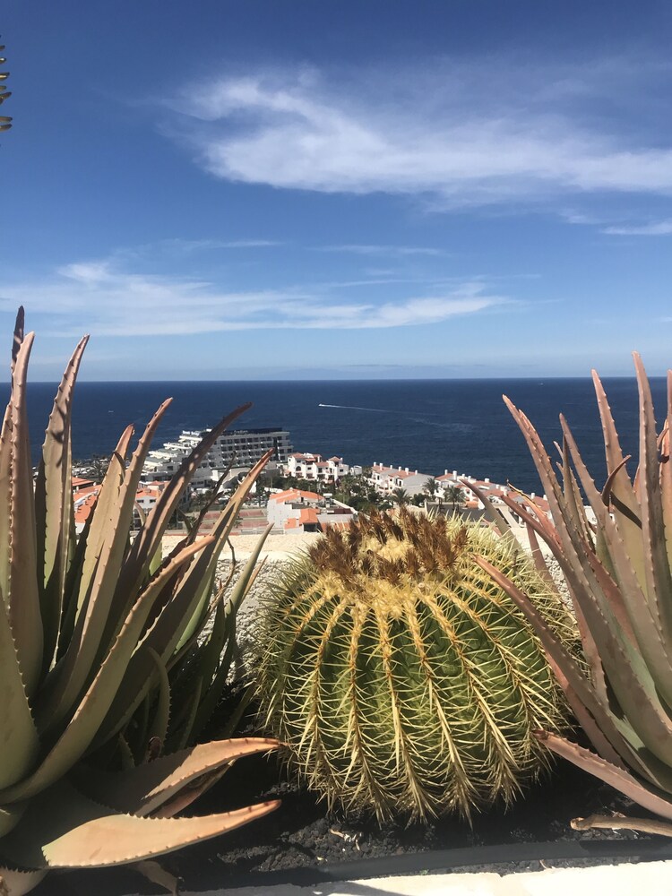 View from Hotel