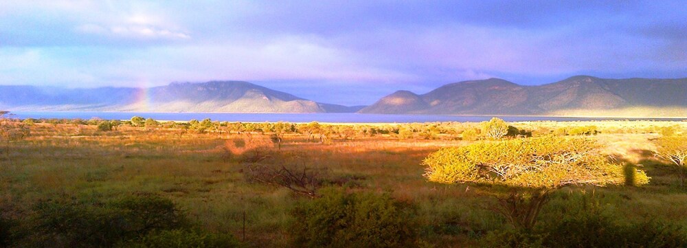 View from Hotel