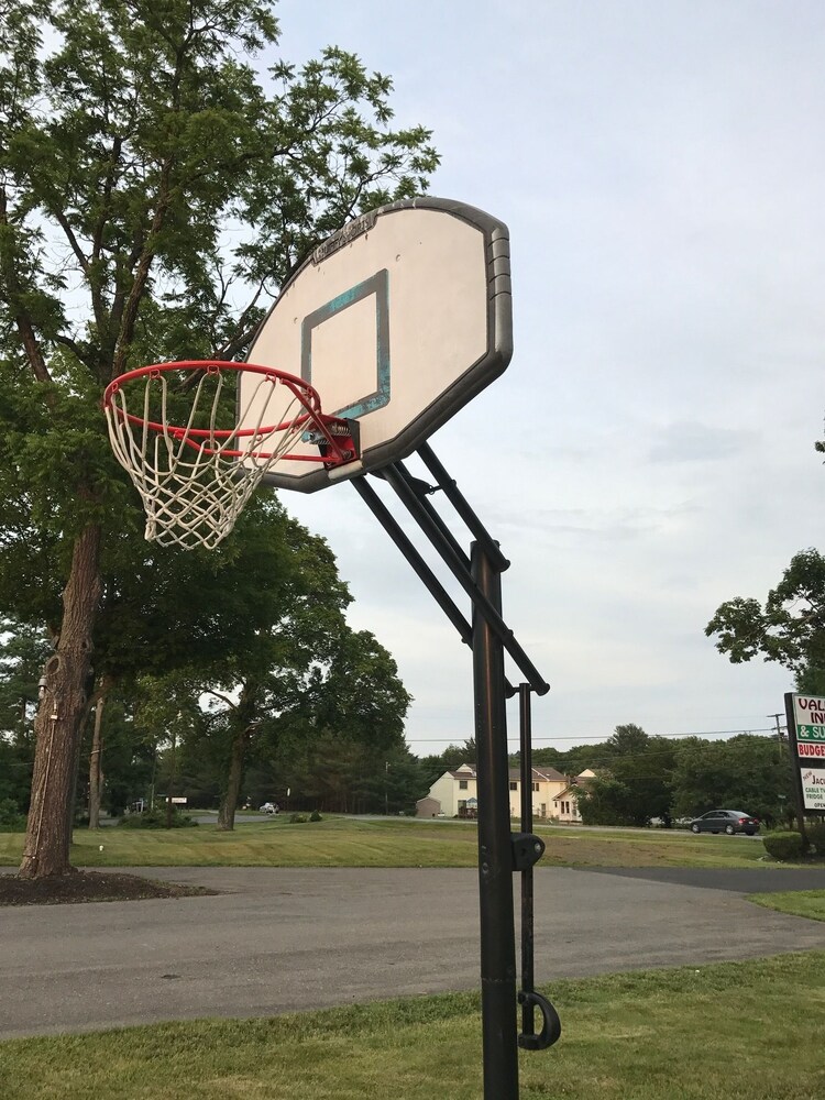 Basketball Court