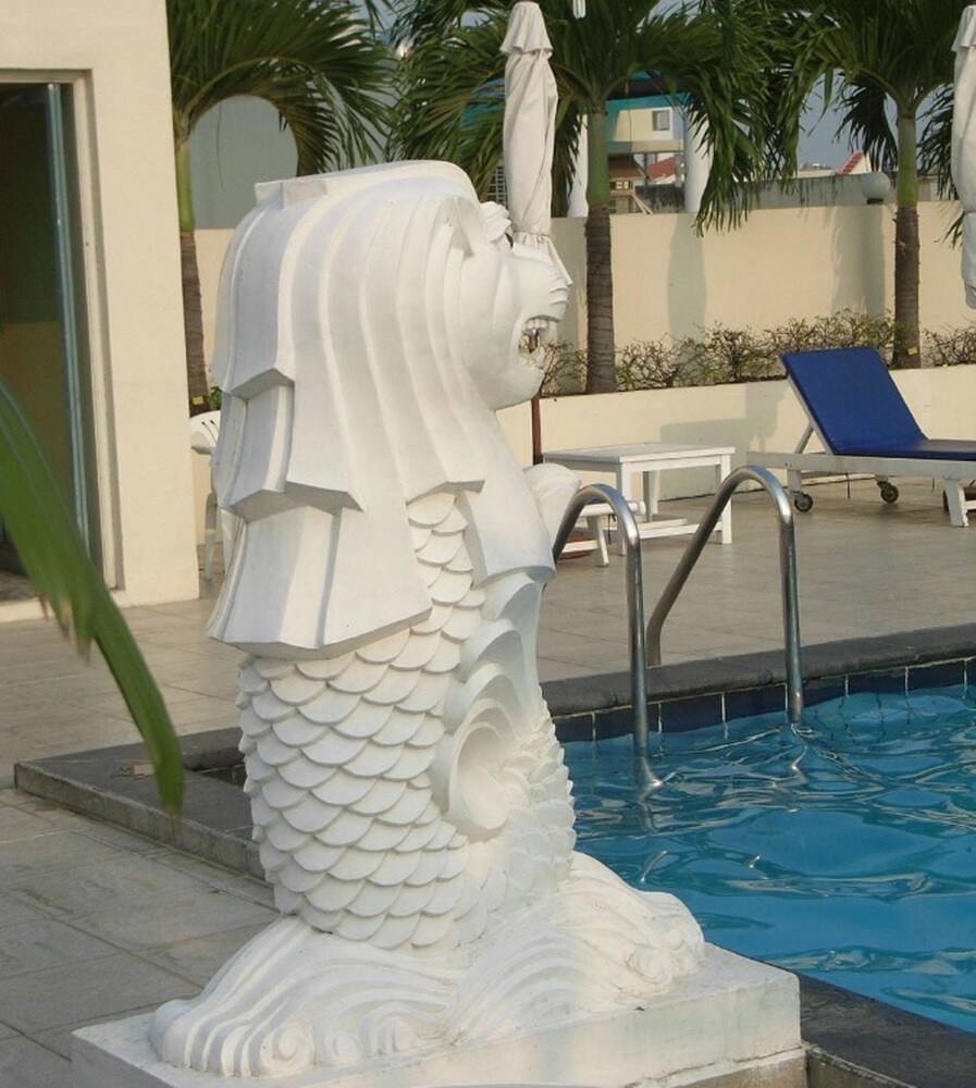 Rooftop Pool