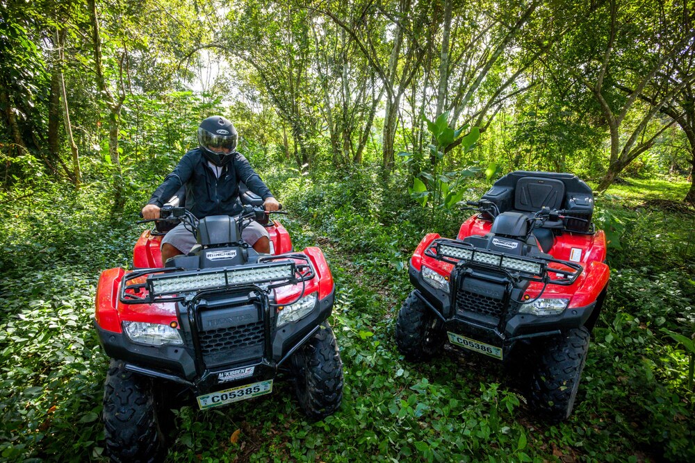 Golf Cart