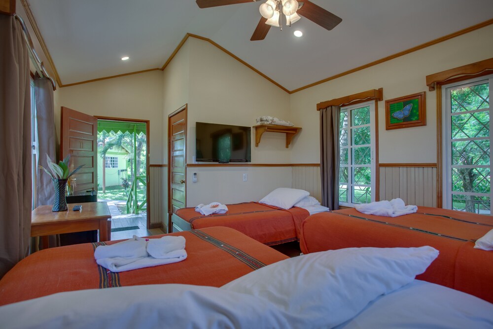 Guestroom View