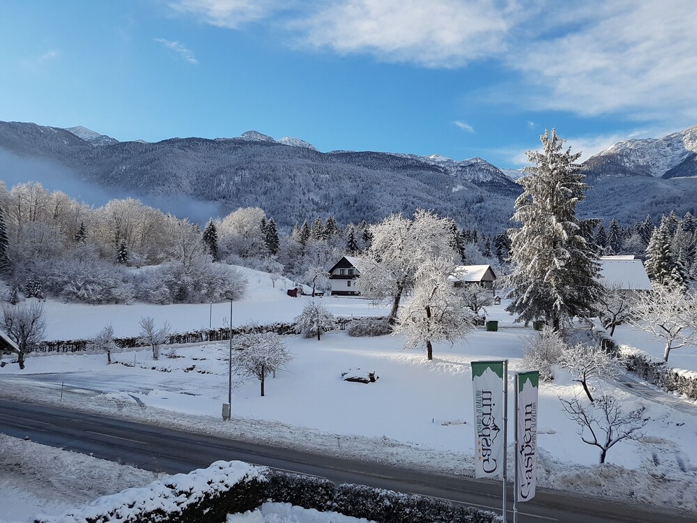 Guestroom View