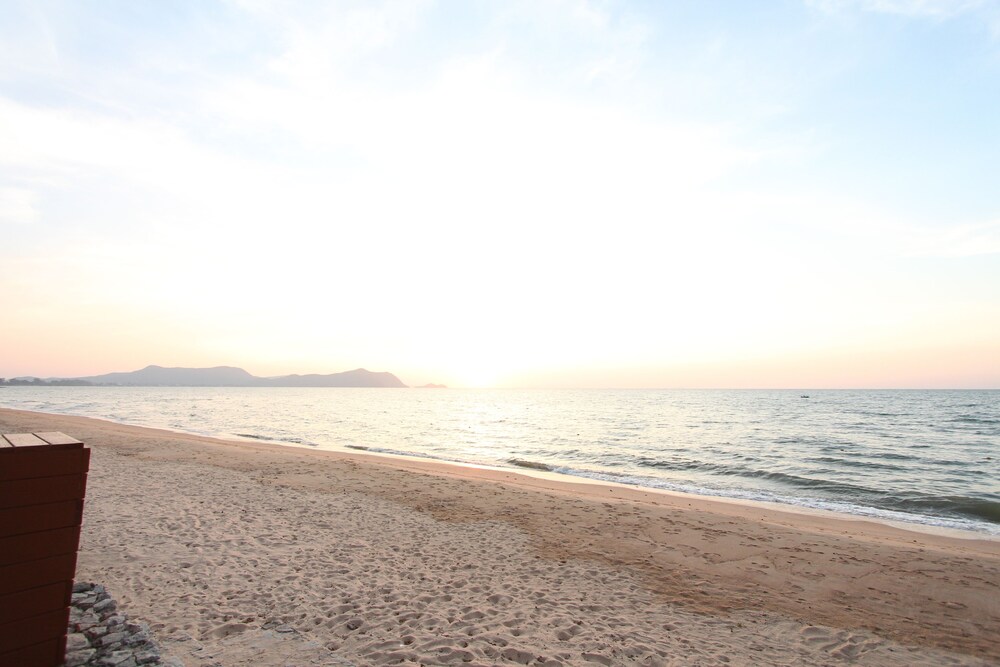 Beach/Ocean View