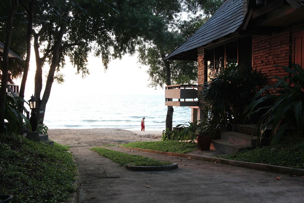 Beach/Ocean View