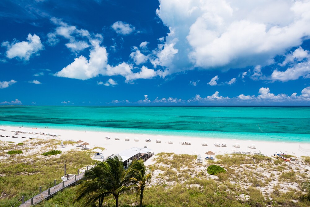 Beach/Ocean View