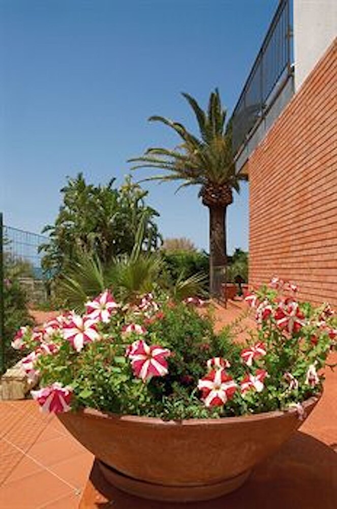 Giardino