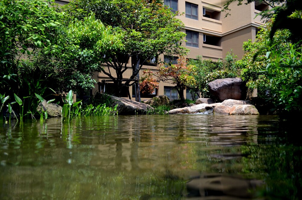 Courtyard View