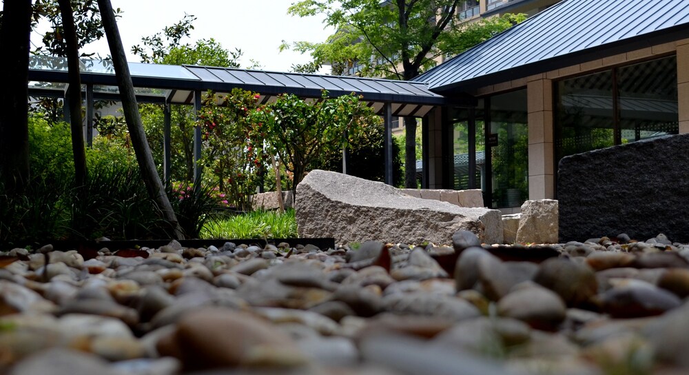 Courtyard View