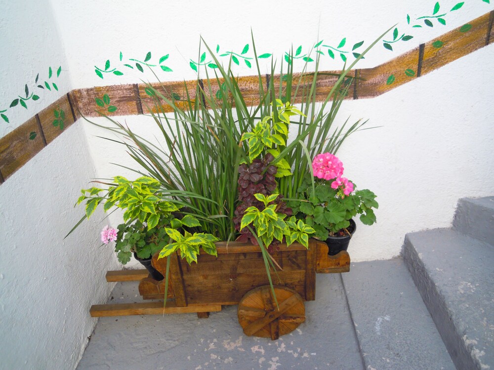 Courtyard View
