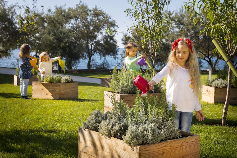 Childrens Activities