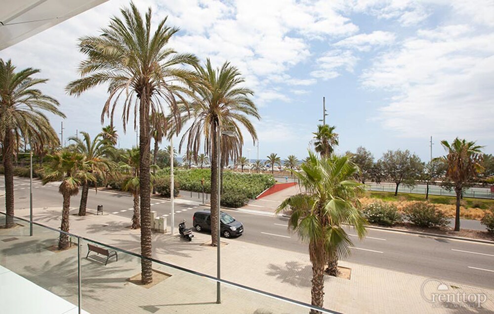 Beachfront 3 Bedroom Apartment - Guestroom View
