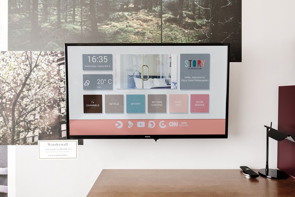 Television