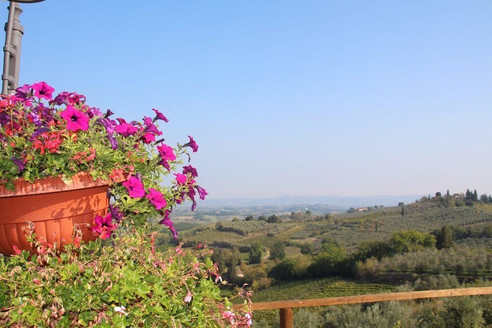 Vista dall'hotel