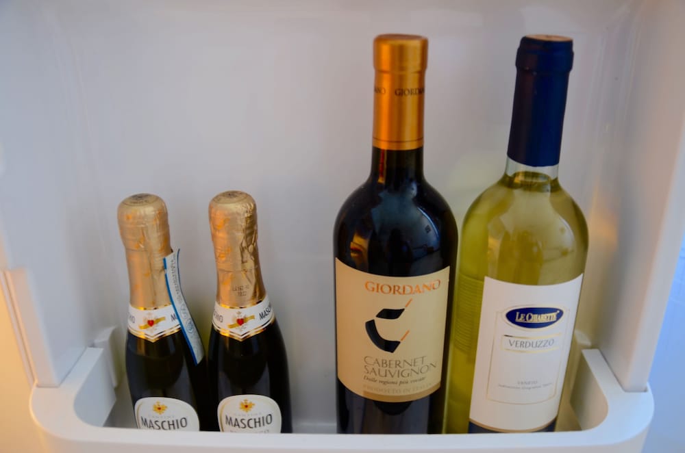 Mini-Refrigerator
