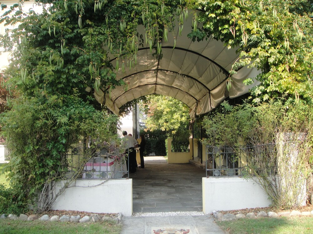 Outdoor Wedding Area