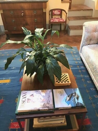 내부 세부 사진