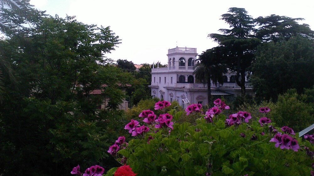 View from Hotel