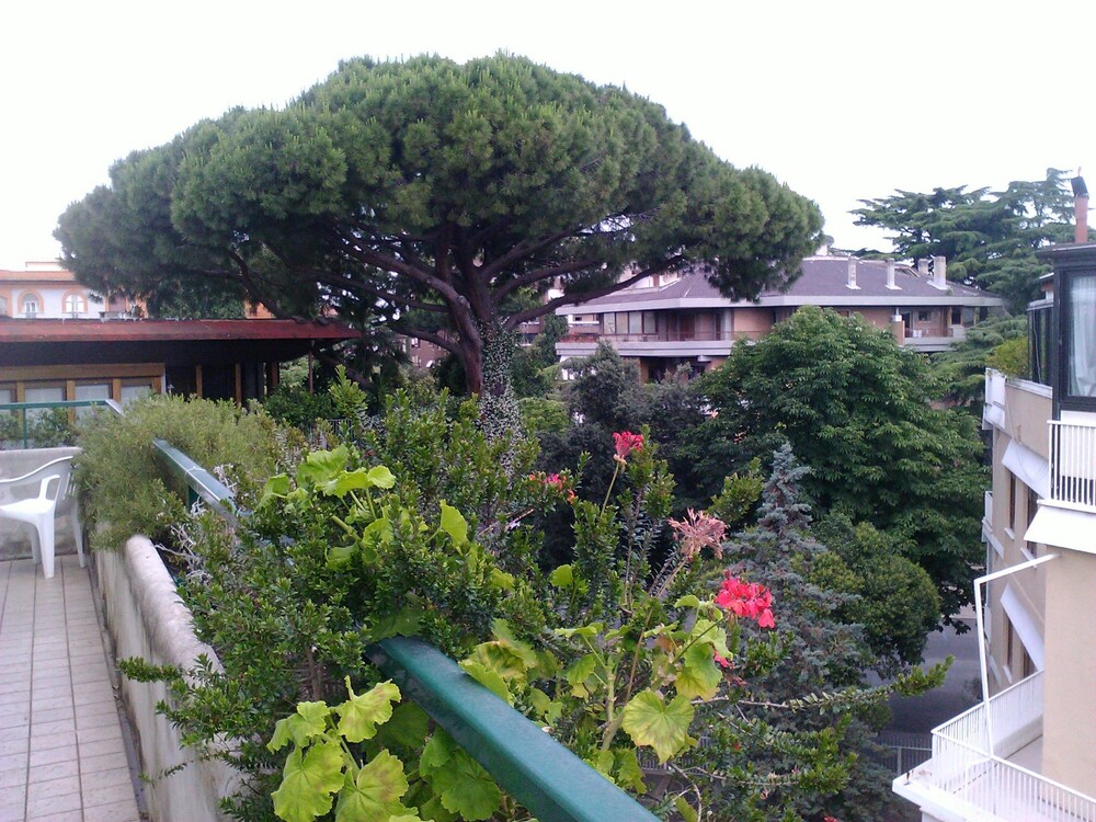 View from Hotel