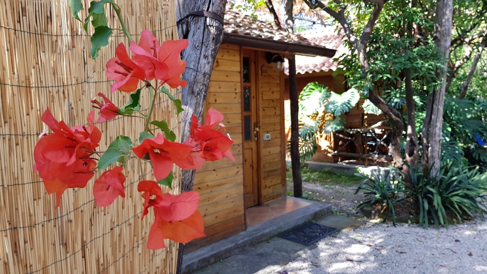 Hotel Entrance