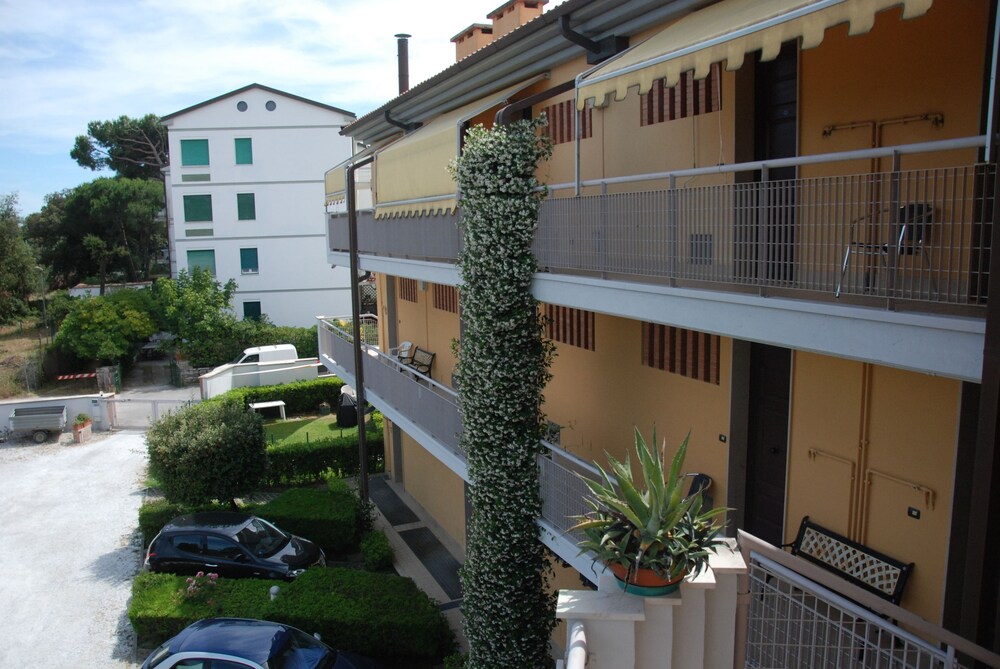 Courtyard View