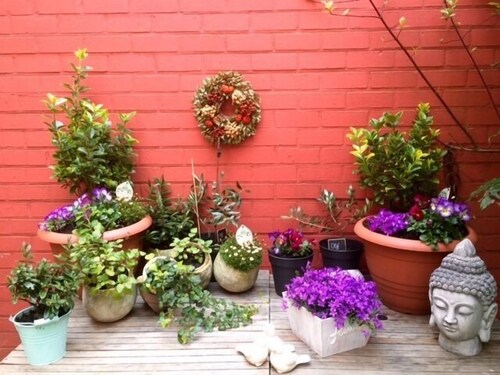 Courtyard
