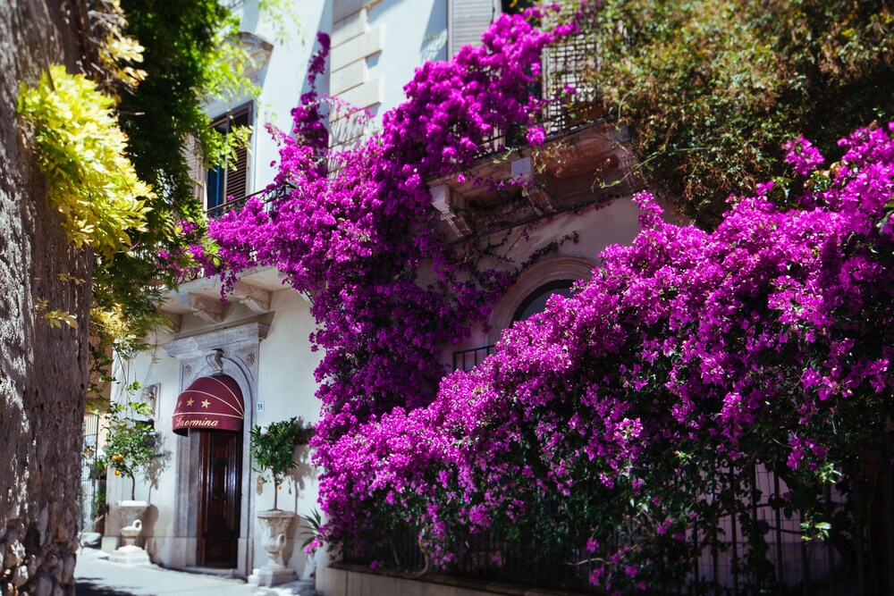 Ingresso hotel