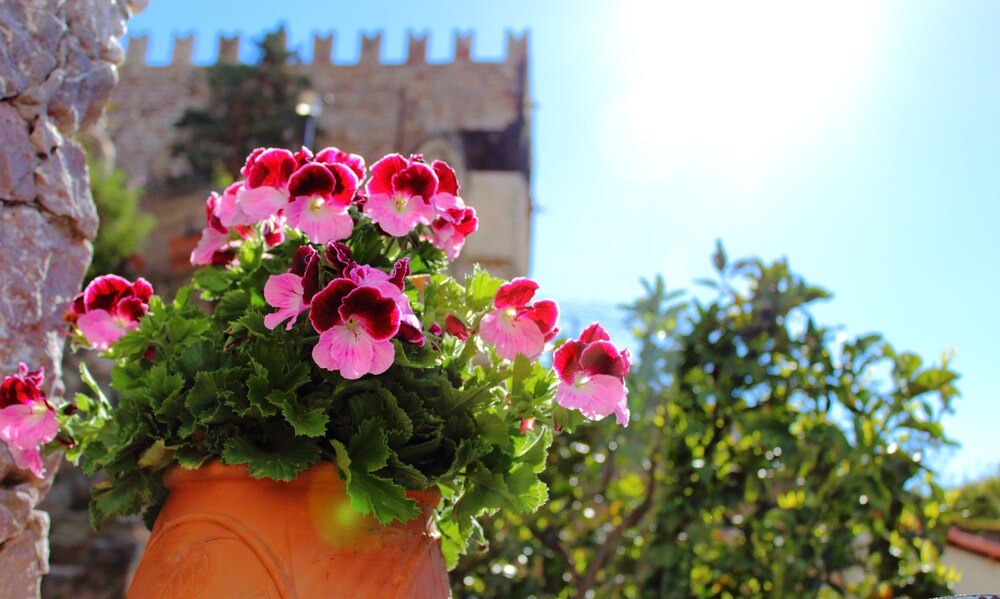 Vista giardino
