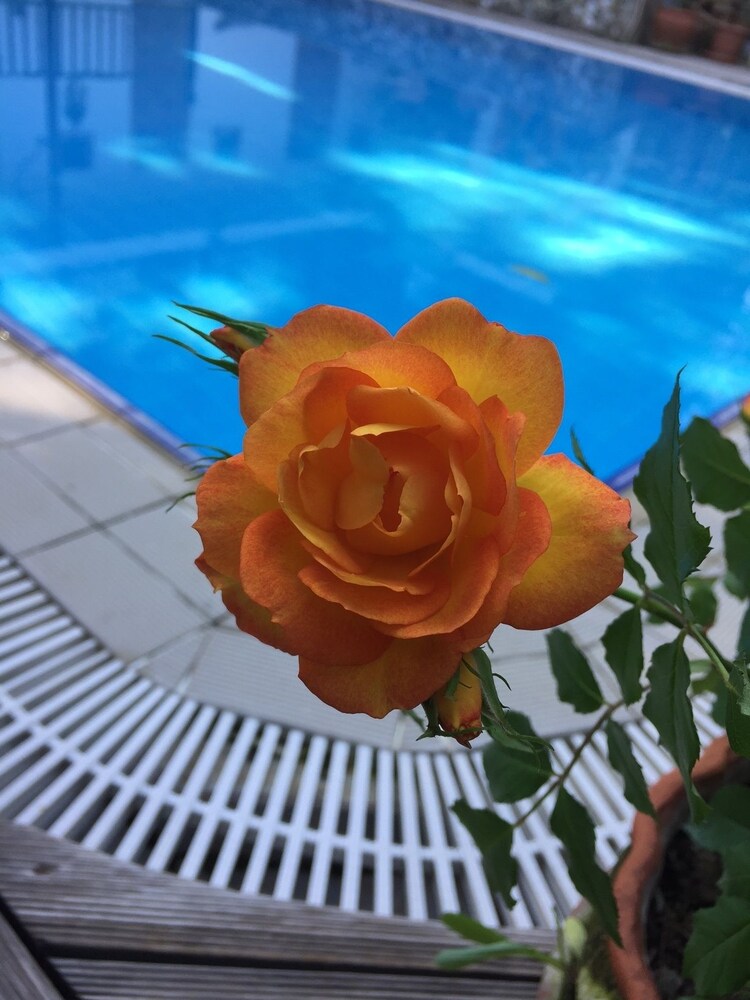 Piscine en plein air