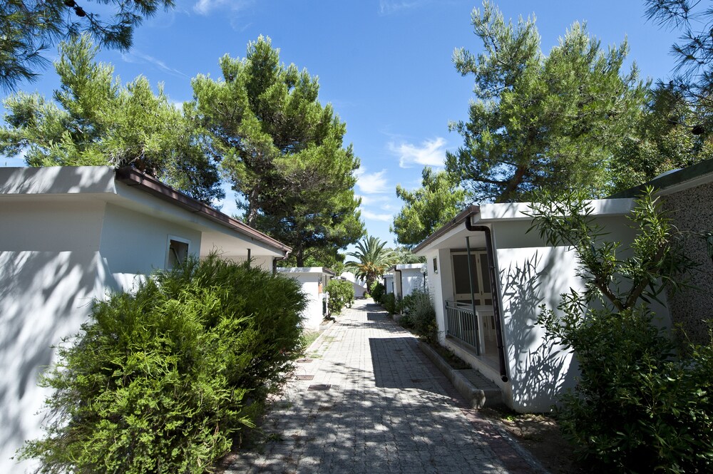 Terrazza/Patio (Bungalow Economy (French Bed))