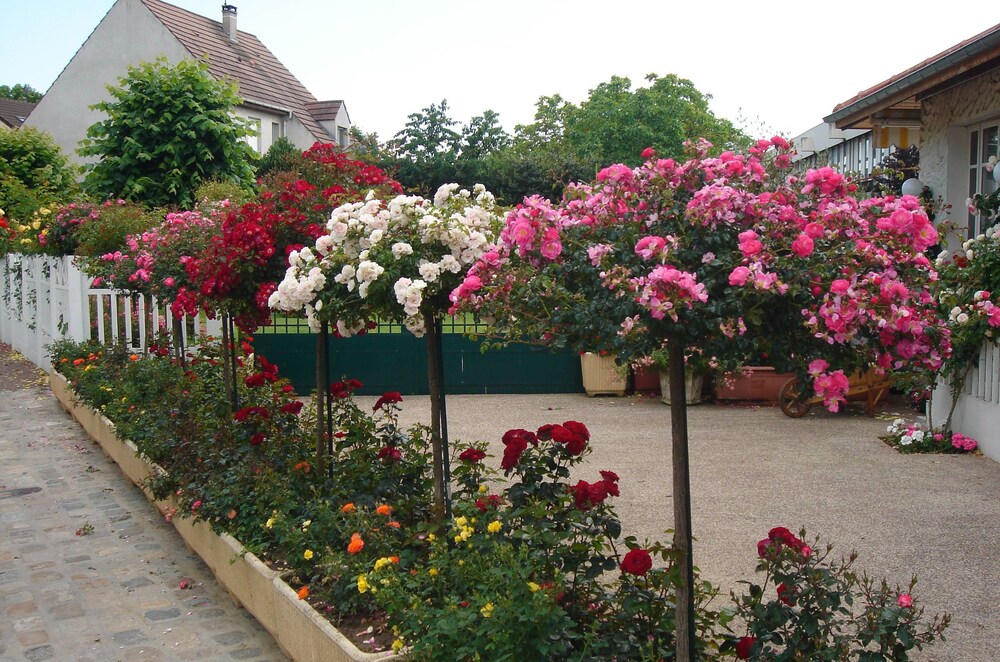 Jardin