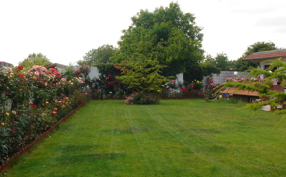 Jardin
