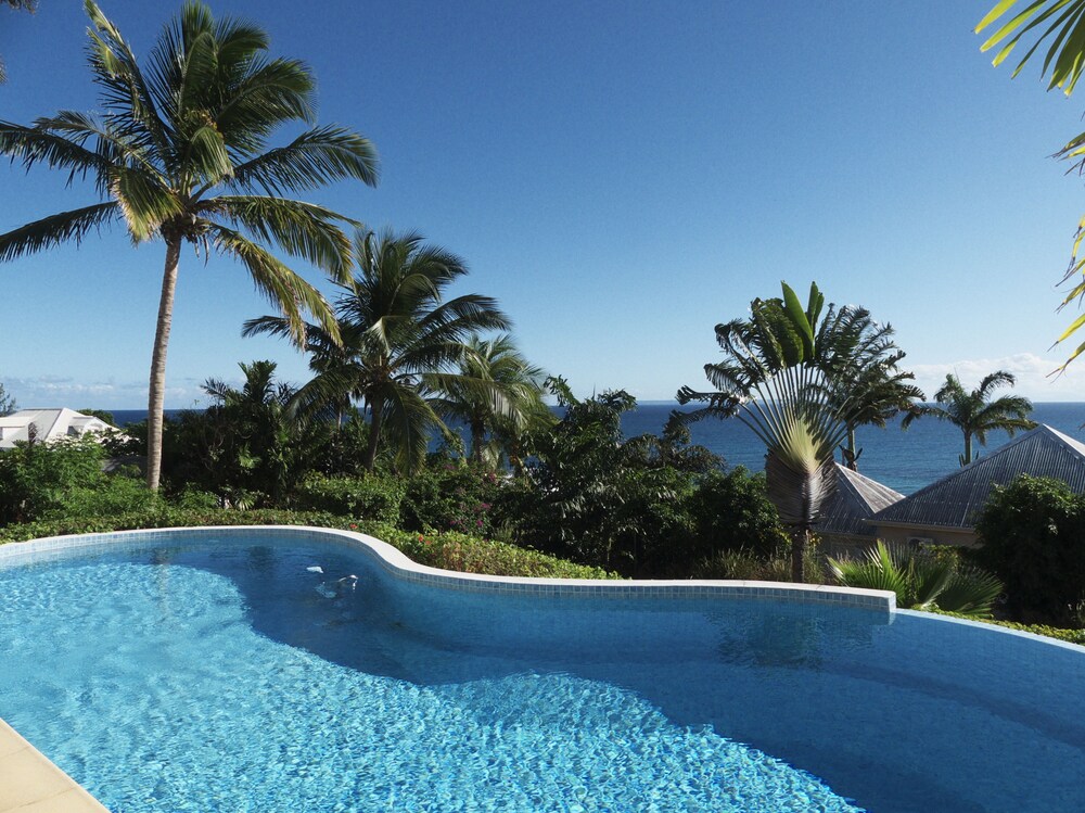 Infinity Pool