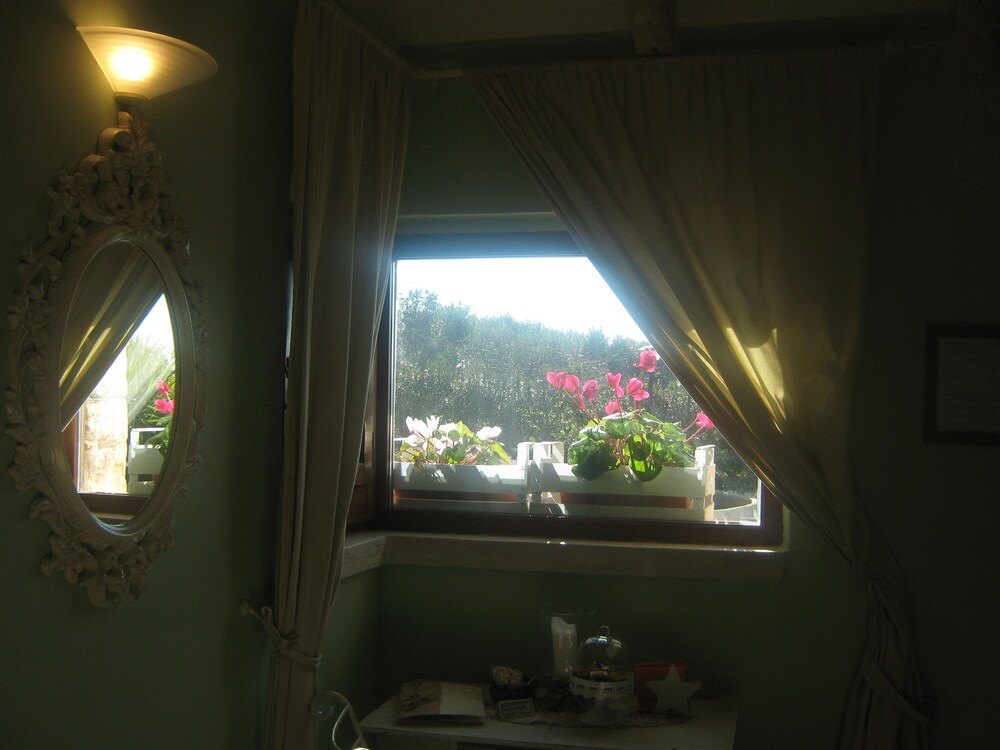 Guestroom View