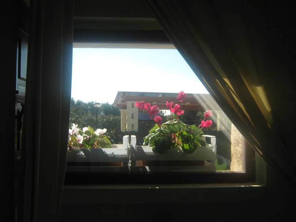 Guestroom View