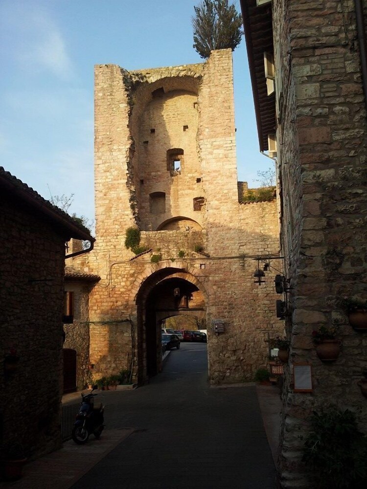 Esterni