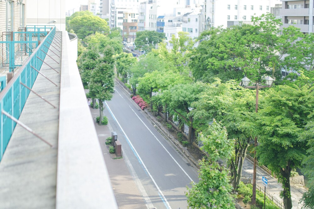 Guestroom View