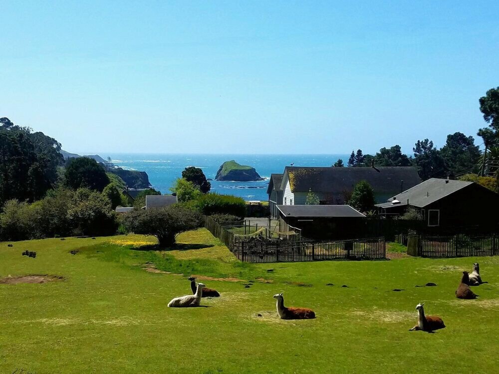 Guestroom View